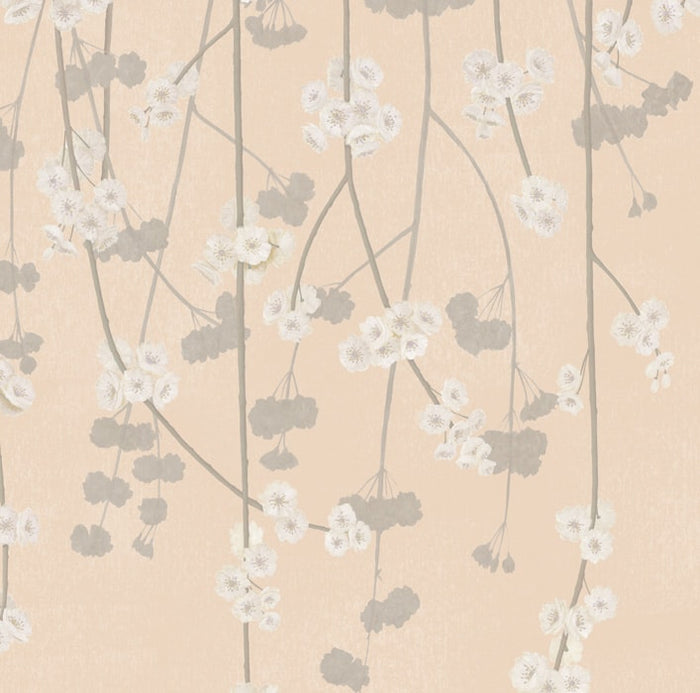 Sample - Cherry Blossom Wallpaper - Peach