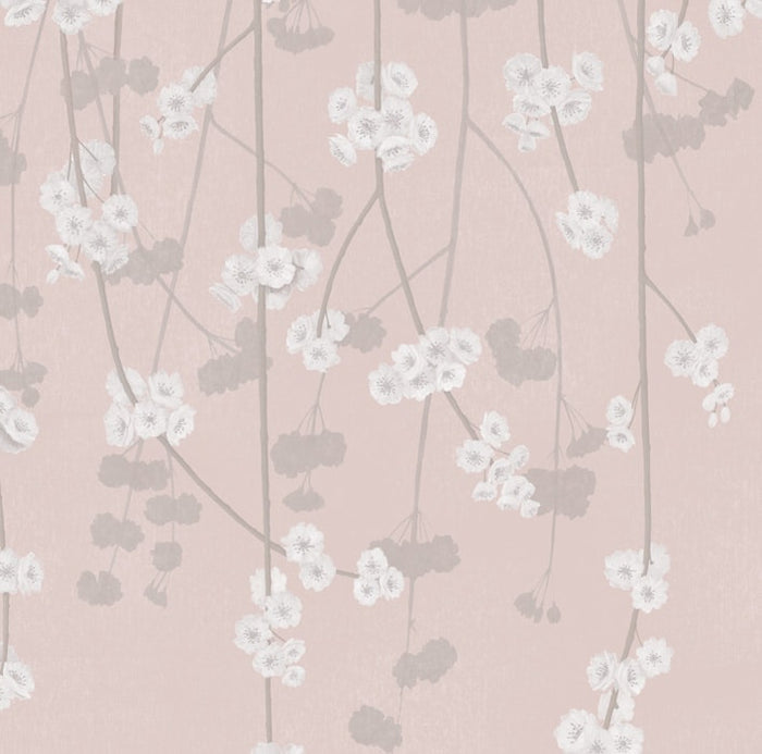 Sample - Cherry Blossom Wallpaper - Pink