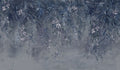 Sample - Honolulu - Cloud Blue - Custom Sized Wallpaper Mural (per m2)