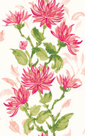 Sample - Kiku Wallpaper - Ohpopsi - Cerise