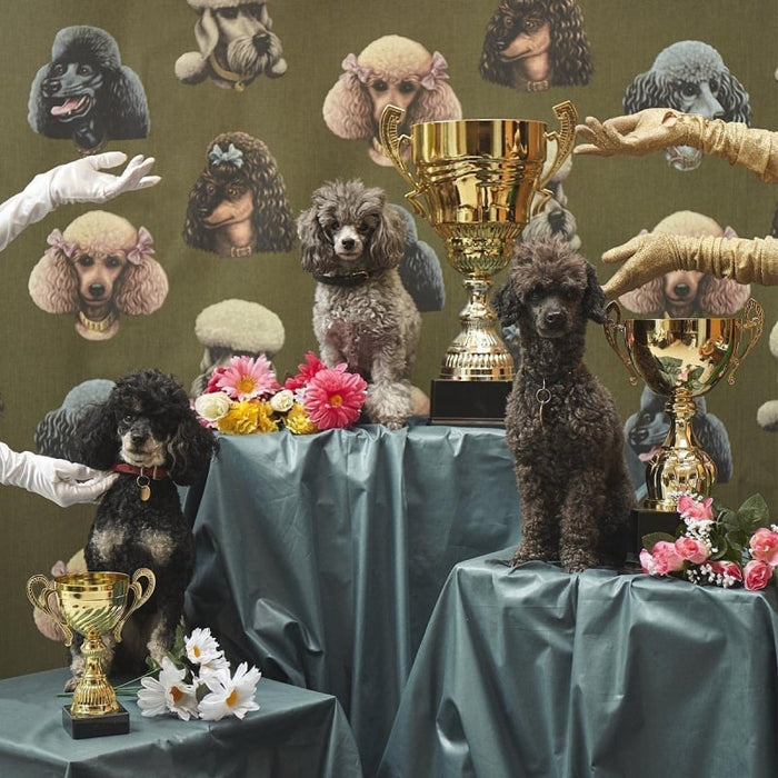 Sample - Poodle Parlour Wallpaper - Moss