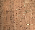 Sample - Refined Cork Wallpaper - Natural/Gold