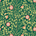 Sample - Rosehip Trail Wallpaper - Ohpopsi - Forest Green