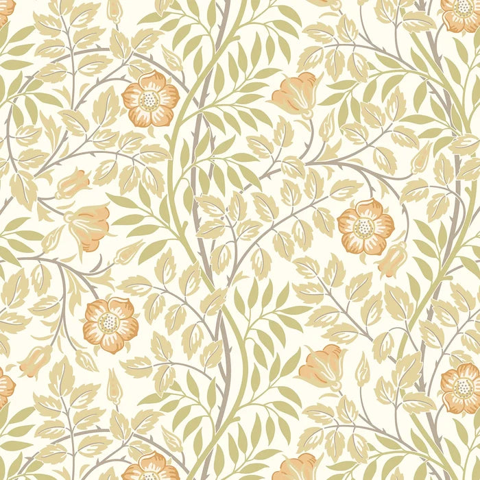 Sample - Rosehip Trail Wallpaper - Ohpopsi - Soft Amber