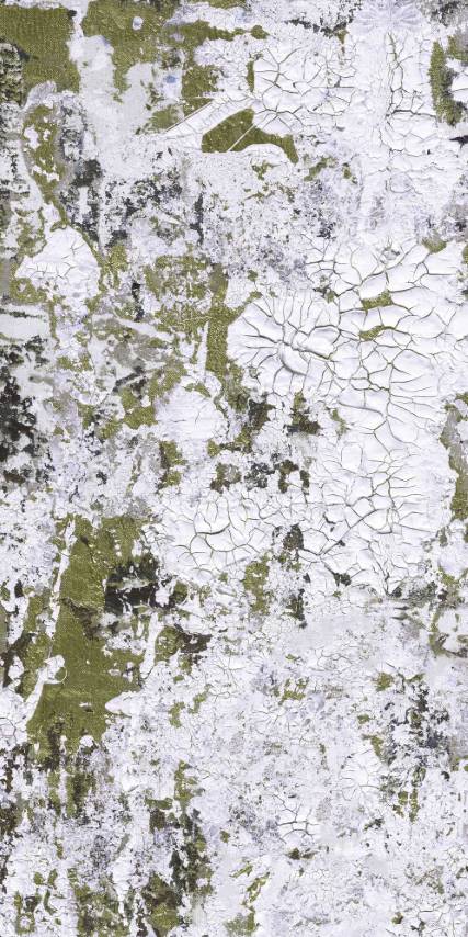 Sample - Safari Shabby Chic Wallpaper Mural - Patinated