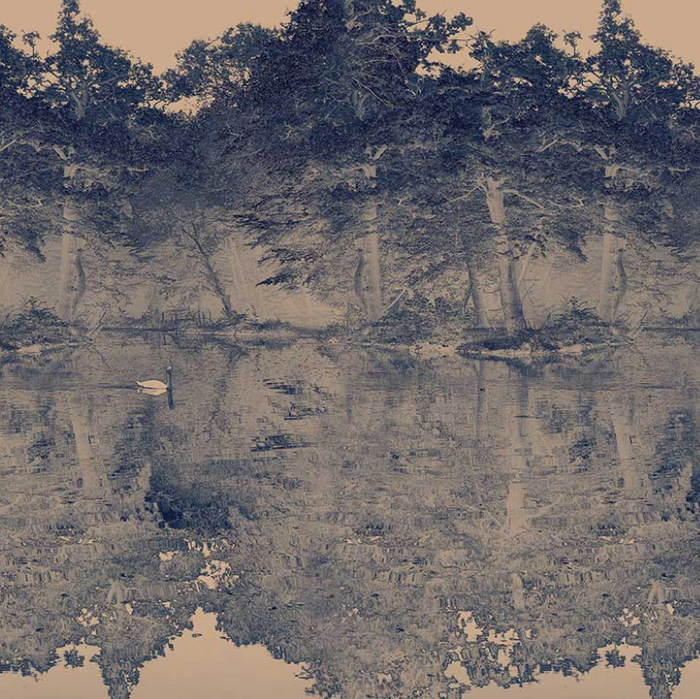 Sample - Toile De Jouy - Custom sized wallpaper mural (per/m2) - Blue