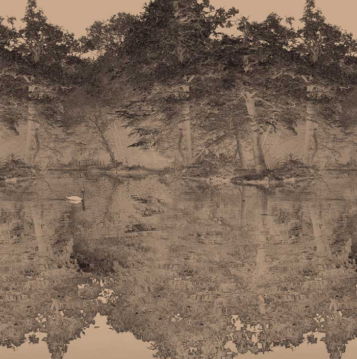 Sample - Toile De Jouy - Custom sized wallpaper mural (per/m2) - Charcoal