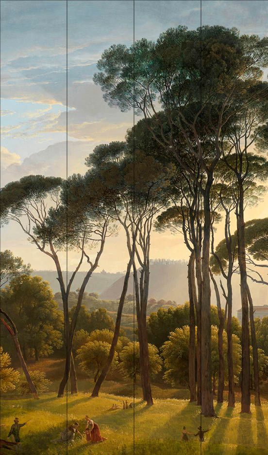 Sample - Umbrella Pines - Custom Sized Wallpaper Mural (per m2)