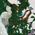 Sample - Vera's Garden - Peacock Wallpaper - Sunrise