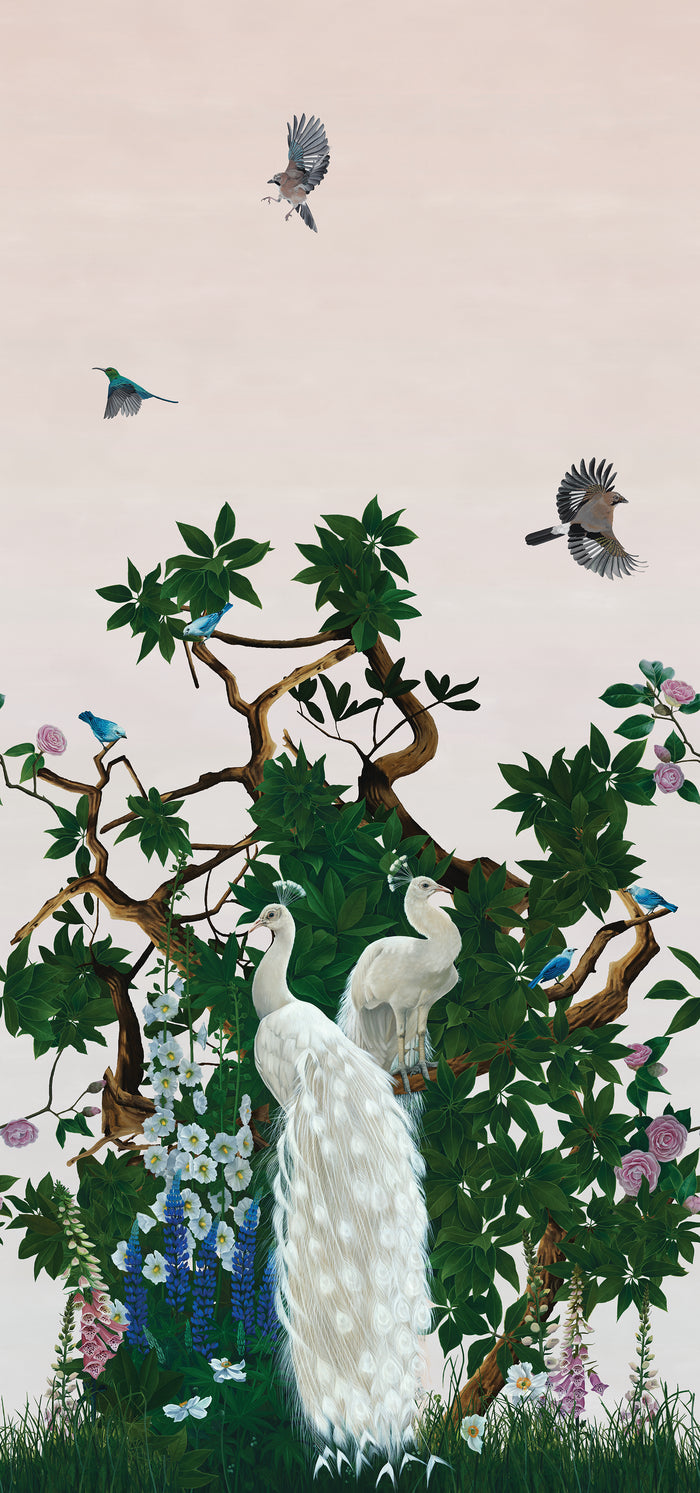 Sample - Vera's Garden - Peacock Wallpaper - Sunrise