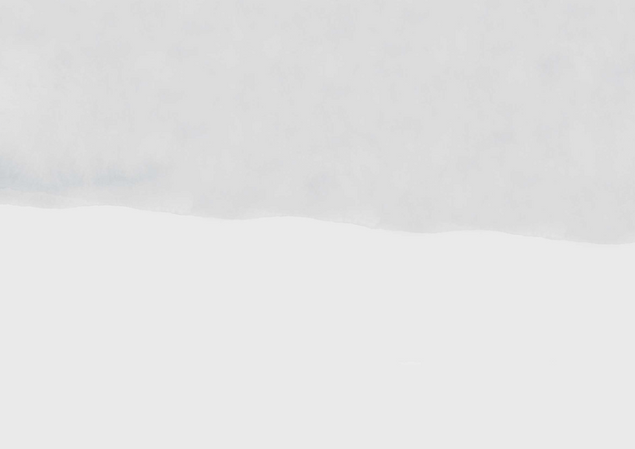 Sand - Mist - Custom Sized Wallpaper Mural (per m2)