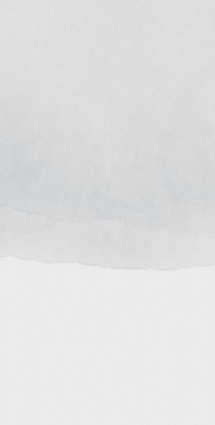 Sand - Mist - Custom Sized Wallpaper Mural (per m2)