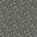 Sangfaglar Wallpaper - Charcoal