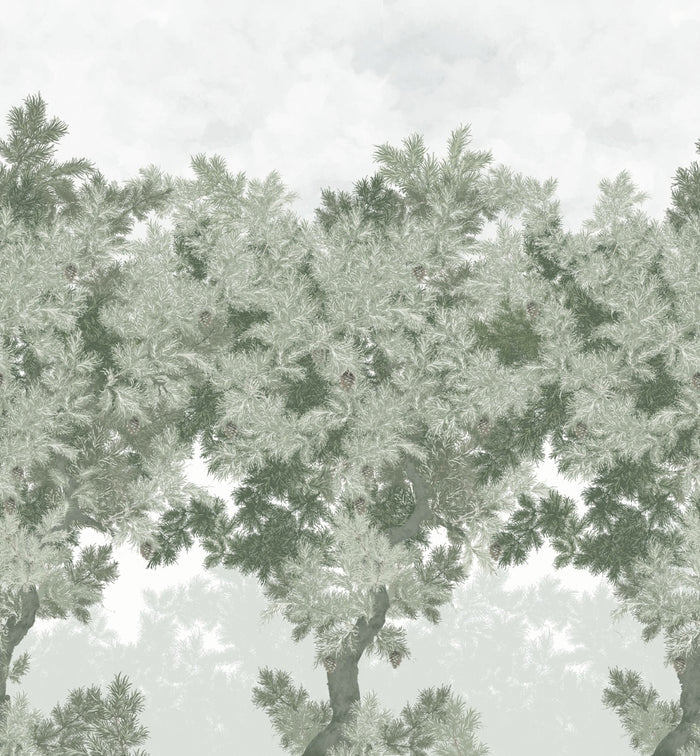Scent of Pines - Custom Sized Wallpaper Mural (per m2) - Grey Green
