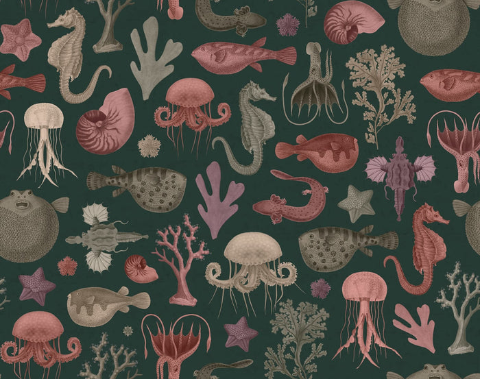 Sea Life - Ocean - Custom Sized Wallpaper Mural (per m2)