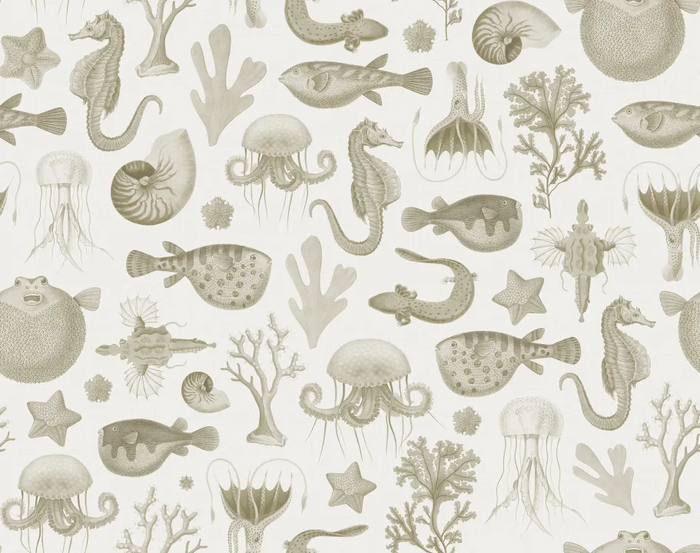 Sea Life - Sand - Custom Sized Wallpaper Mural (per m2)