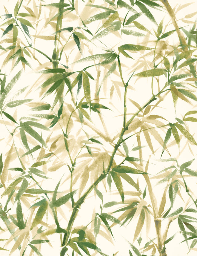 Shadow Bamboo Wallpaper - Willow