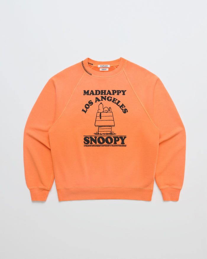 #pumpkin - featured