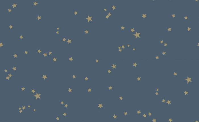 Stars Wallpaper - Cole and Sons - Midnight Blue