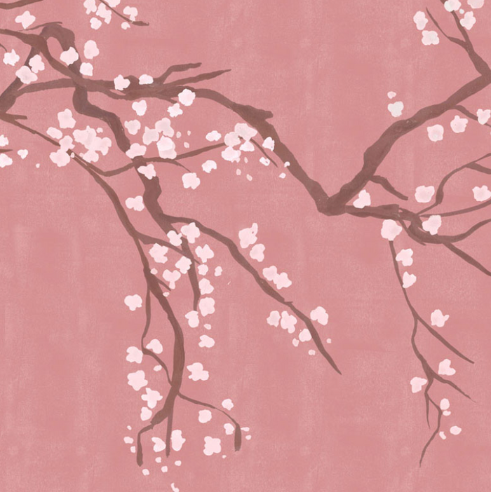 Takeda Cherry Blossom - Custom sized wallpaper mural (per/m2) - Rose