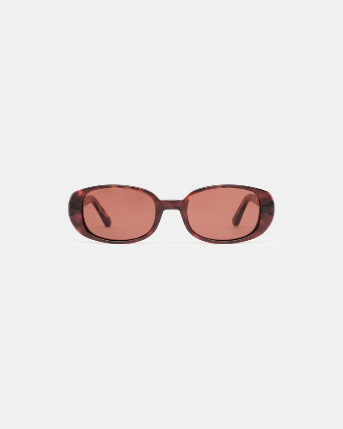 #tortoise - featured