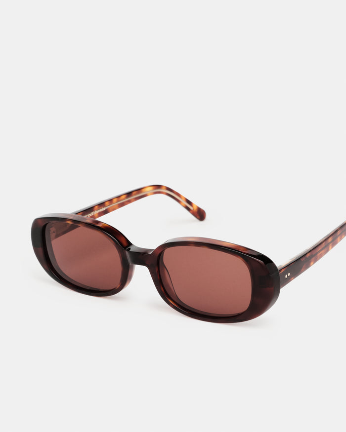 #tortoise