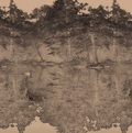 Toile De Jouy - Custom sized wallpaper mural (per/m2) - Charcoal