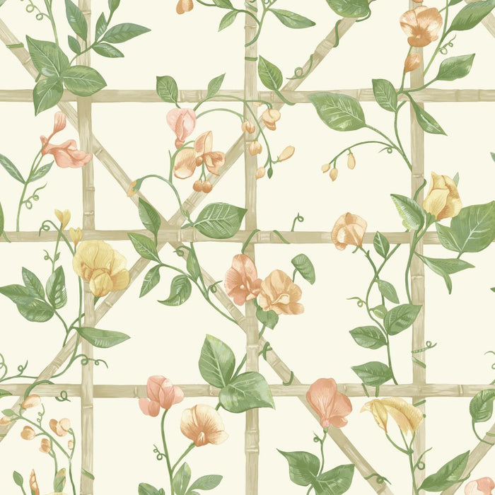 Trailing Floral Trellis – Garden Vine Wallpaper – Orange Cream