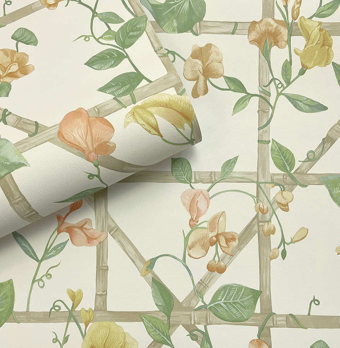 Trailing Floral Trellis – Garden Vine Wallpaper – Orange Cream