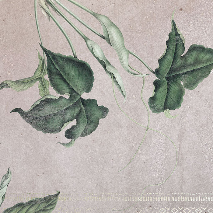 Tropic Concrete - Custom Sized Mural Wallpaper (per m2)