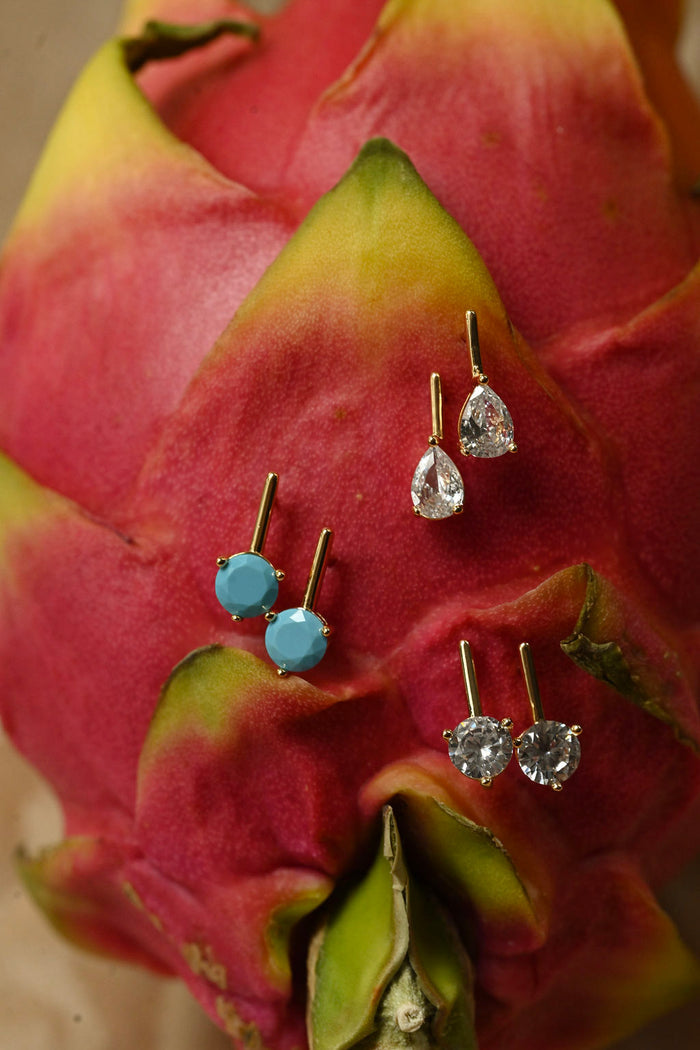 Jewelry earrings displayed on a dragon fruit