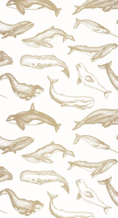 Whale Done Wallpaper - White - Discontinuing