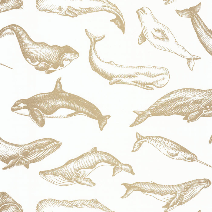Whale Done Wallpaper - White - Discontinuing