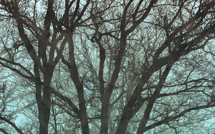 Whispering Woods - Custom Sized Wallpaper Mural (per m2)