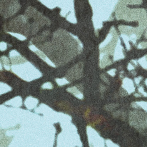 Whispering Woods - Custom Sized Wallpaper Mural (per m2)