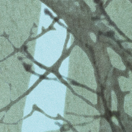 Whispering Woods - Custom Sized Wallpaper Mural (per m2)
