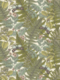 Wild Ferns Wallpaper - Jupiter