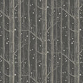 Woods and Stars Wallpaper - Charcoal