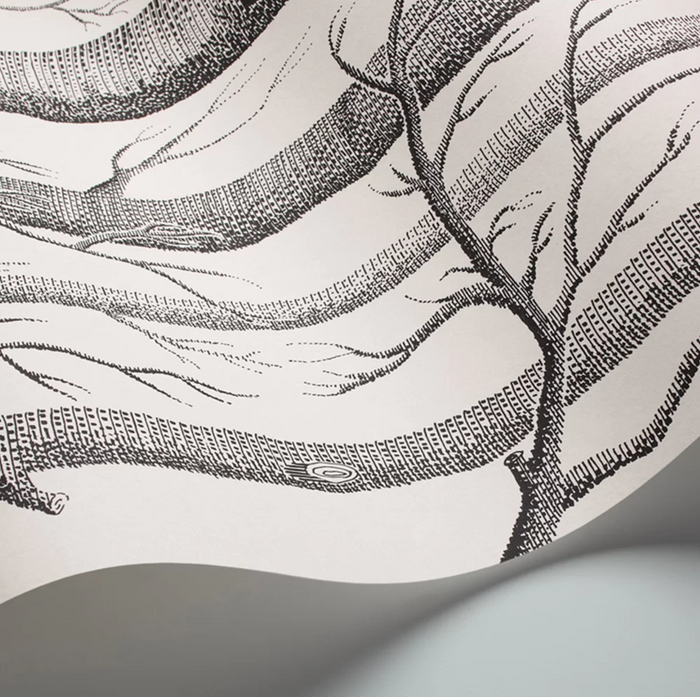 Woods Wallpaper - Cole & Son - Black/White