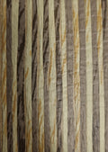 Zebra Paper Art Wallpaper - Forest