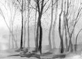 Zephyr - Custom Sized Wallpaper Mural (per m2) - Monochrome