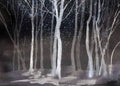 Zephyr - Custom Sized Wallpaper Mural (per m2) - Night