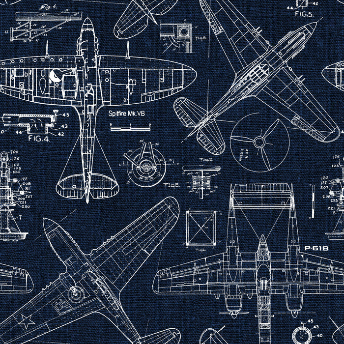 Zoom Airplane - Blue - Custom Sized Wallpaper Mural (per m2)