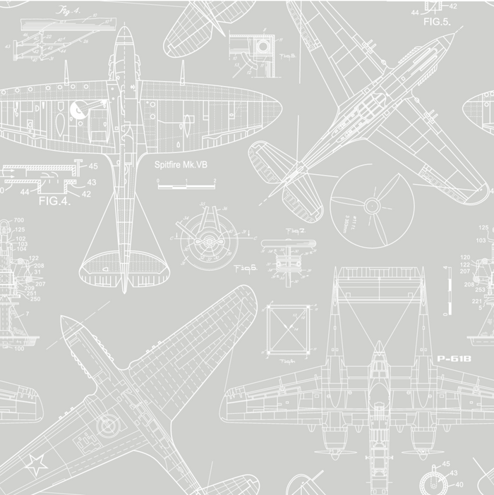 Zoom Airplane - Grey - Custom Sized Wallpaper Mural (per m2)